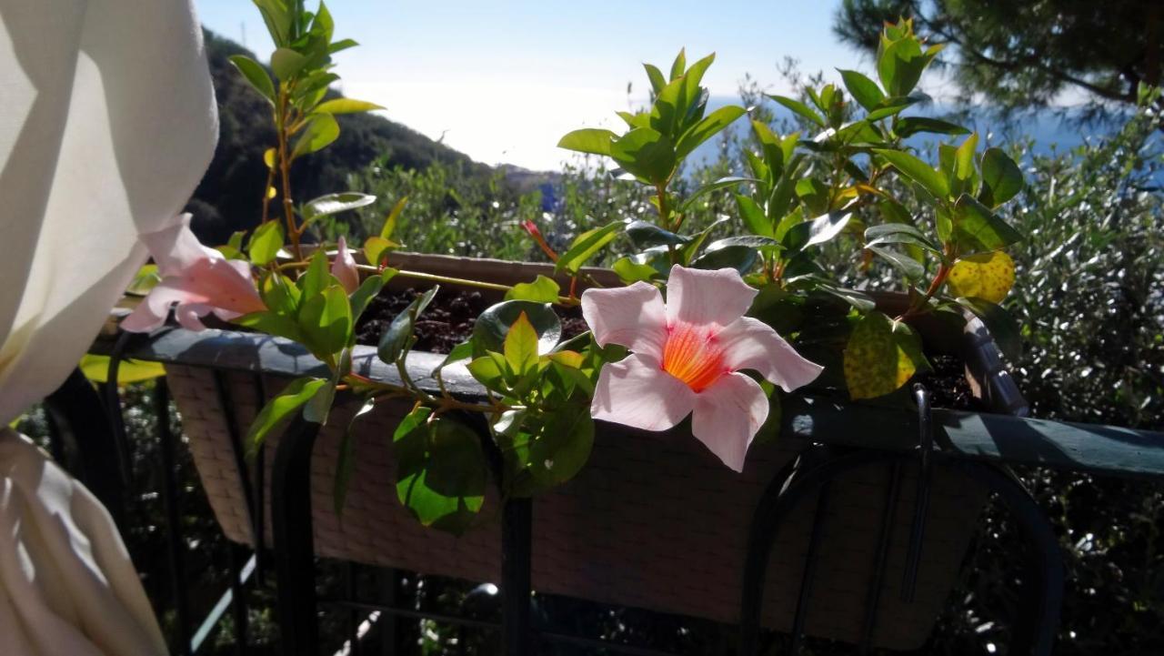 Bed and Breakfast La Casa Dei Limoni Genua Zewnętrze zdjęcie